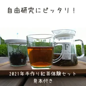 【夏休み体験】和紅茶手作りキット【見本の紅茶３０ｇ付き】