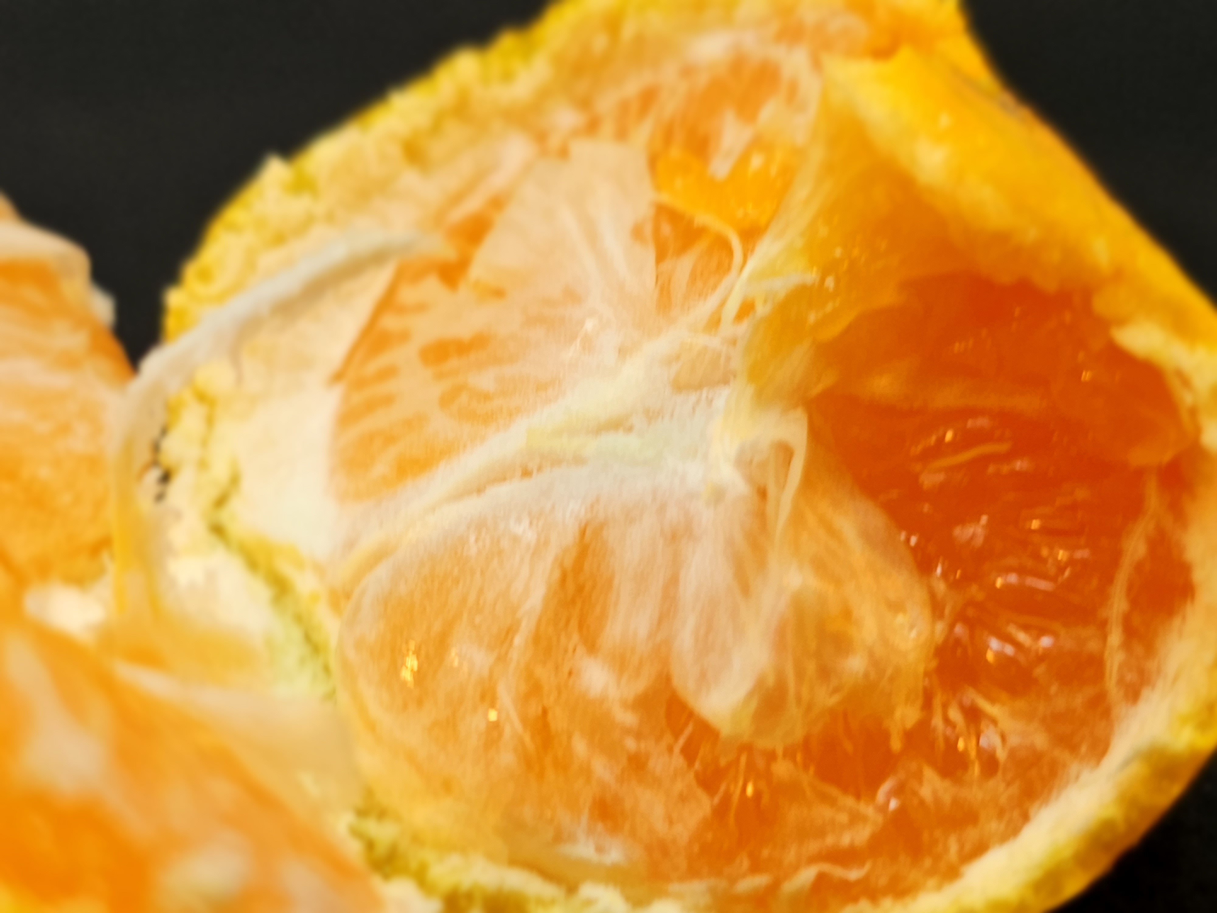 ミカンボーイ 送料込】小林果園 甘みをぎゅっと凍らせ蜜柑《KEA-01A》｜公式通販ホシ