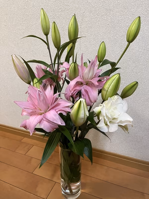 みんなの投稿の画像