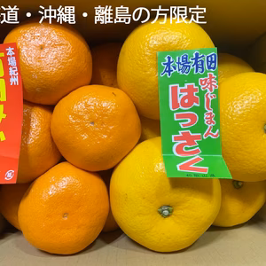 大玉はっさくと大玉みかんの詰め合わせ　北海道沖縄離島の方専用