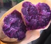 【味付けシンプル♡】べっぴんホクホク系紫さつま芋(パープルスイートロード)
