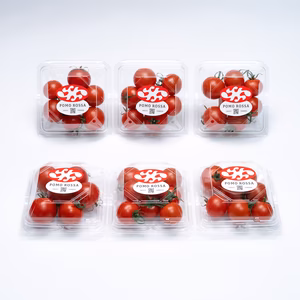 【贈り物に最適】⭐高糖度フルーツトマト⭐「ポモロッサ6パック入」