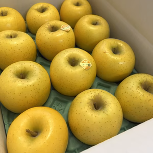 【家庭用】シナノゴールド（小玉） 約3kg（11～14個）