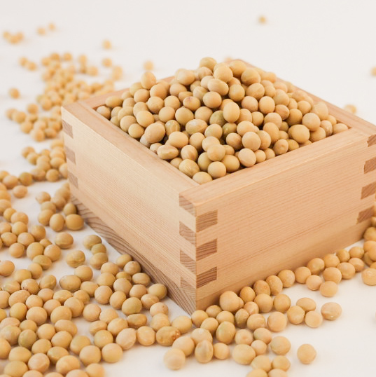 豆類の通販・お取り寄せ商品｜野菜｜ポケットマルシェ｜産地直送で旬の