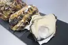 りくたかプレミアムオイスター（カルチ式殻付）Mサイズ✨生食用✨