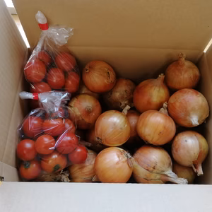 夏の恵み！！オニトマセットはいかがですか？