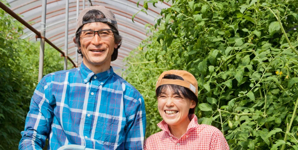 甘い！サラダカブ☆箱いっぱい☆まるで梨☆葉付き☆農薬・化学肥料不使用