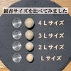【ちょっとお試し】銀杏の王様 藤九郎 Lサイズ400ｇ