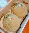 【希少品種】"赤肉メロン「ロピア」" 3L2玉入り
