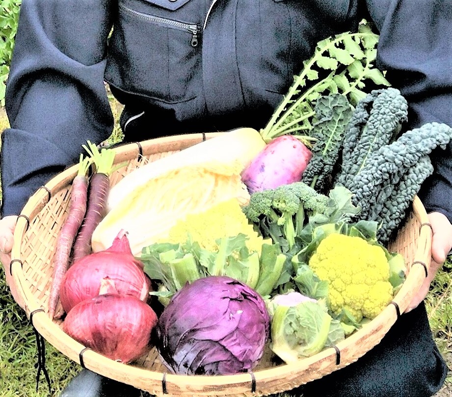 山口県下関市から季節ごとのお野菜類お任せ定期便セットでお届け 農家漁師から産地直送の通販 ポケットマルシェ