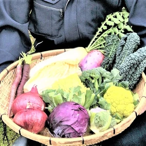 山口県下関市から季節ごとのお野菜類お任せ定期便セットでお届け！