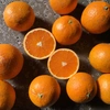 【夏ギフト】自然栽培の柑橘を贅沢にしぼったストレートジュース　 選べる２種セット
