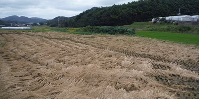 稲藁を良質な堆肥へと循環させるために