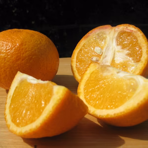 【えひめ・しまなみの島いよかん】瀬戸内よりお届け！いまが旬の宮内いよかん