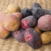 農園おまかせ新じゃがセット【3-4品種入り】 