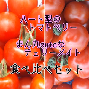 トマトベリーとチェリーメイト食べ比べセット☆