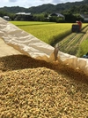 平成30年産 香川県産コシヒカリ 特別栽培米 「水主米」10kg