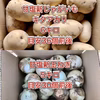 【鹿児島産】甘塩新じゃがいも6キロ・甘塩新玉ねぎ5キロ^_^