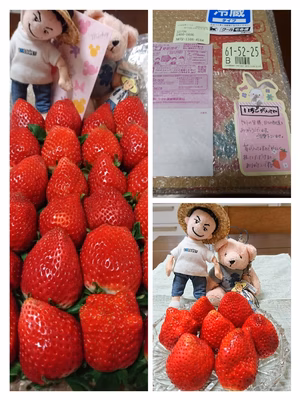 みんなの投稿の画像