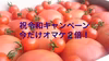 最終日❗️オマケ２倍❗️祝令和キャンペーン ソムリエトマト4kg16玉から30玉