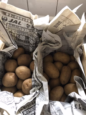 みんなの投稿の画像