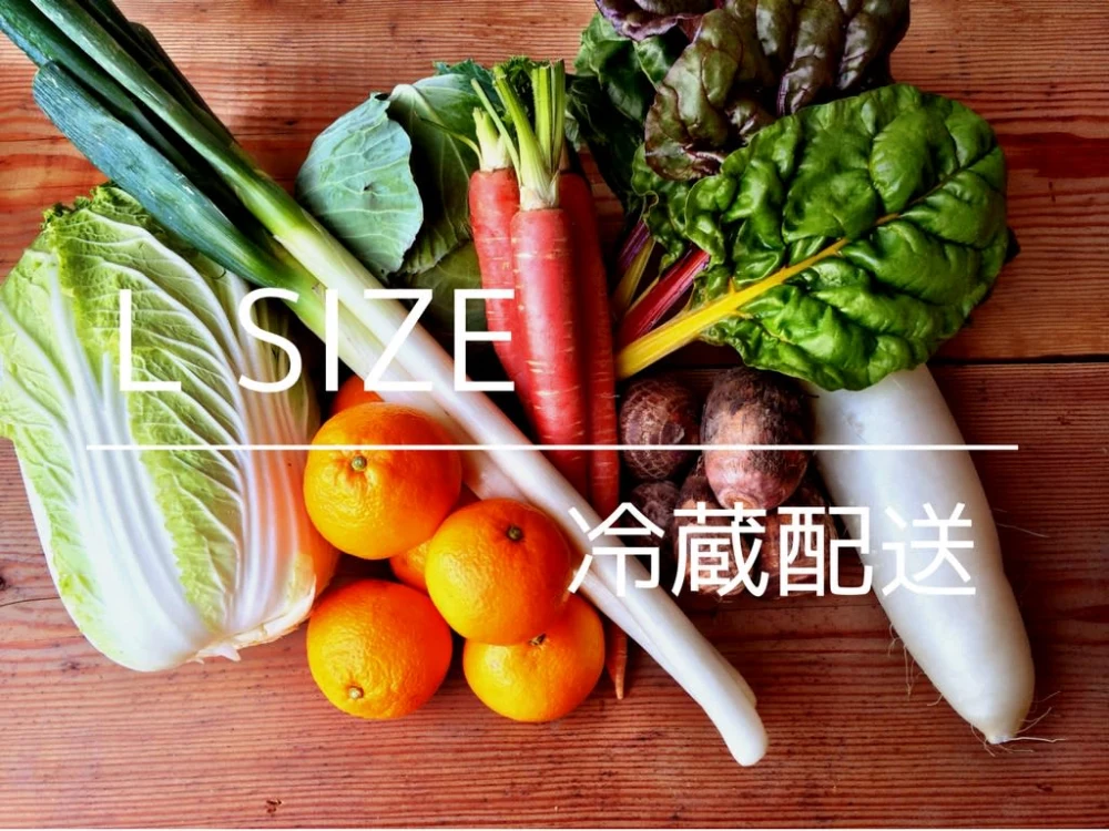 自然農野菜BOX（Lサイズ）【冷蔵配送】