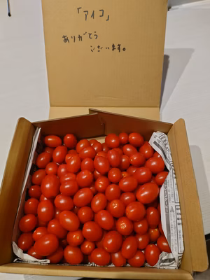 みんなの投稿の画像