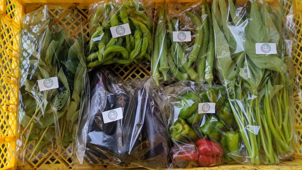 【固定種・農薬＆肥料不使用】季節のお野菜BOX　きよさんセレクト