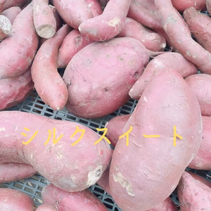 【訳あり大特価】らるふるのさつまいも〈シルクスイート〉（サイズいろいろ）