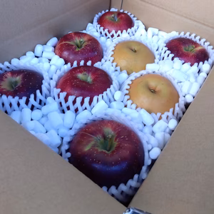 【良品りんご・梨】酸味と甘みパリッと「秋映」＆シャキッと甘い「南水」おまけ付き