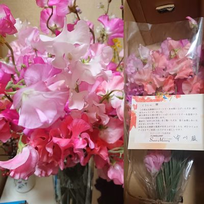 みんなの投稿の画像