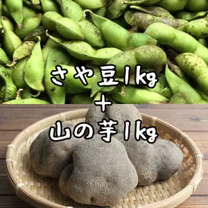 今が旬☆丹波篠山特産品セット 本黒枝豆 さや1kg＋山の芋1kg 農薬不使用