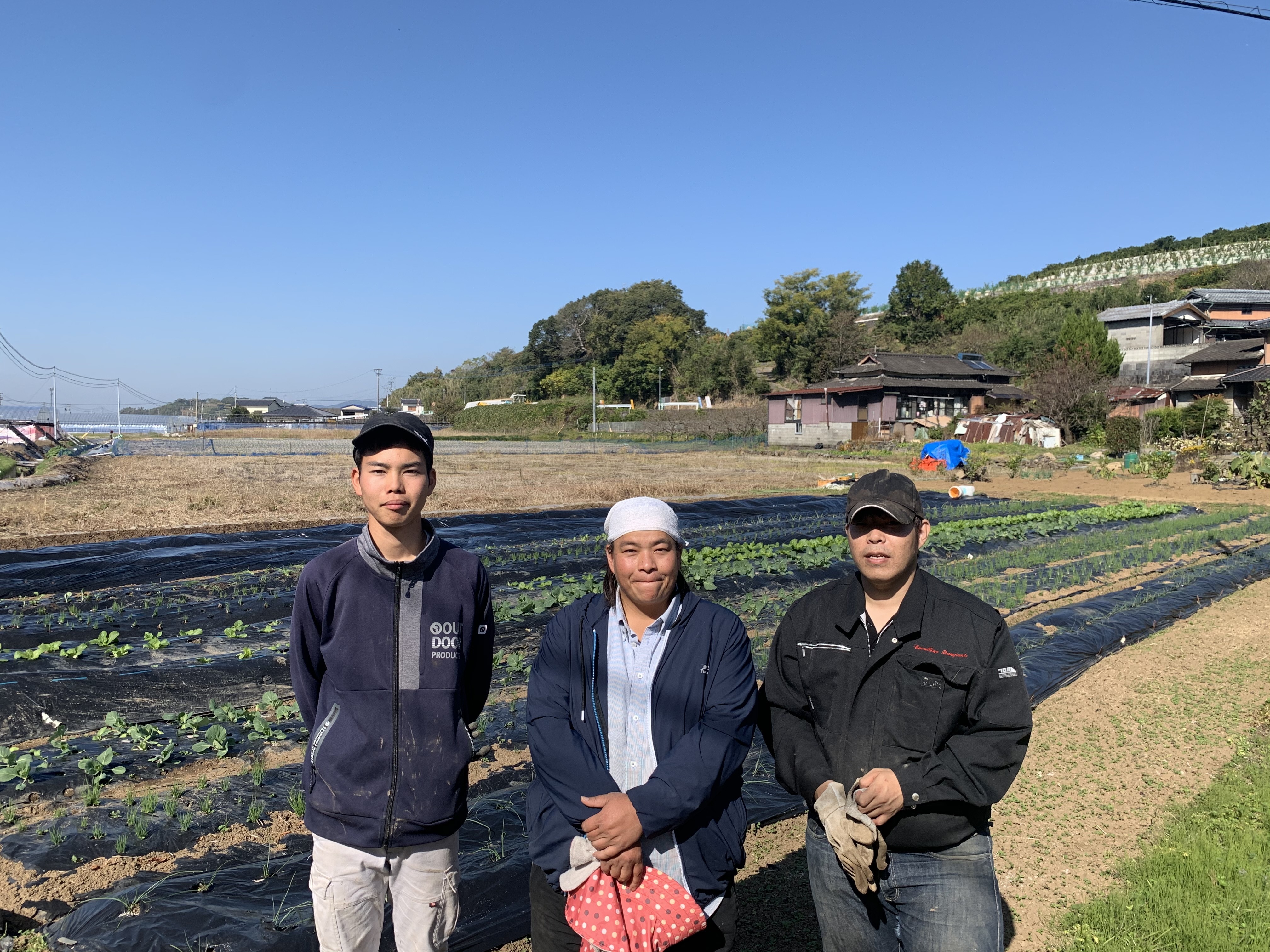 果物の産直通販・お取り寄せ商品｜ポケットマルシェ｜産地直送で