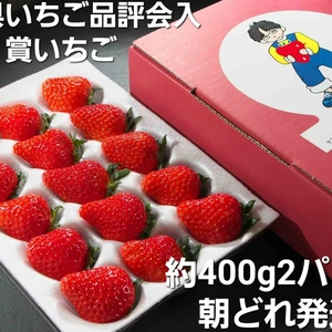 ジューシー】どこにも無い甘さを皆様にお届けしたいです400ｇ 2パック