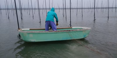 海苔の育苗記⑥｜1550枚の「単張り」ばい