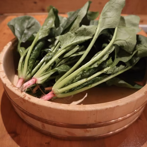 アクがなく下茹で不要！【ほうれん草】１kg