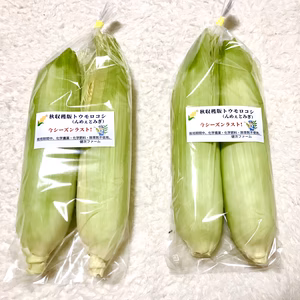 限定一箱❗️ 絶品秋収穫版とうもろこし「んめぇとみぎ」 小ぶり
