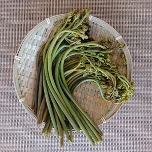 直ぐに調理できる灰汁抜きワラビ（真空パック）