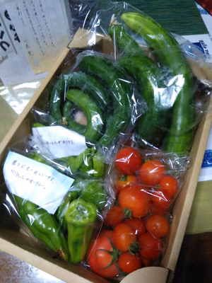 みんなの投稿の画像