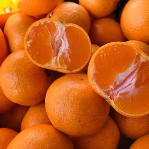 【ご家庭・お子様に】※減農薬・有機肥料使用　甘味強！小粒浜名湖中生みかん