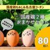 毎月05日はタマゴの日‼　×80個!!【国産鶏おまかせMIX】