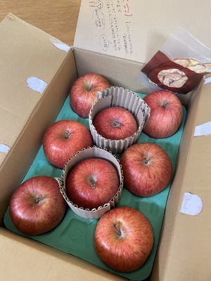 みんなの投稿の画像