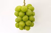朝どりシャインマスカット 3房～4房 (1.8kg程度)  
