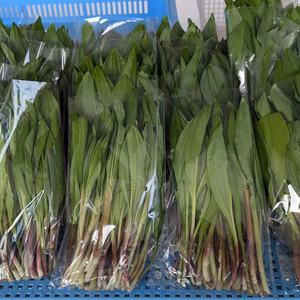 北海道産　天然　行者にんにく