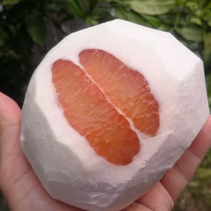 無農薬自然栽培のチャンドラポメロ6個(外皮に傷ありますが中身に影響なし)