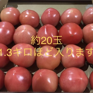 【送料込み】ちっちゃな桃太郎トマト