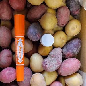 ★数量限定★　規格外　新じゃがいも　いろいろ　(小サイズ)