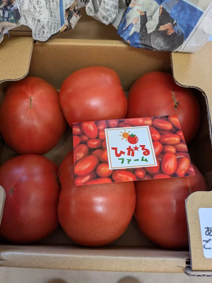 みんなの投稿の画像