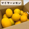 マイヤーレモン【2㎏・5㎏・10㎏】