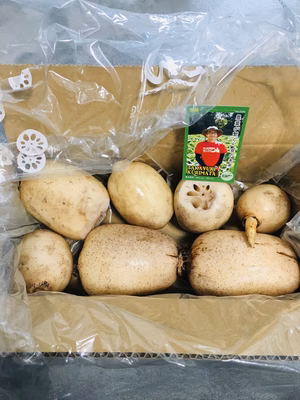 みんなの投稿の画像